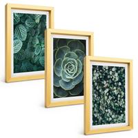 BILDER SET 3er Set - 20x30 cm Goldrahmen - Sukkulenten - Goldfarben, Kunststoff (20/30cm) - TULUP