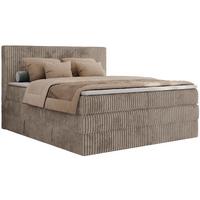 BOXSPRINGBETT TILIANO KING - 160/200 - Hellbraun Cord - H4 - Hellbraun, Holz/Textil (160/200cm) - MKS