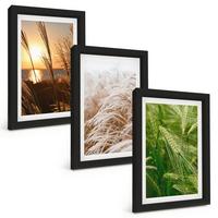 BILDER SET 3er Set - 20x30 cm Schwarzer Rahmen - Gräser farbenfrohe Natur - Schwarz, Kunststoff (20/30cm) - TULUP