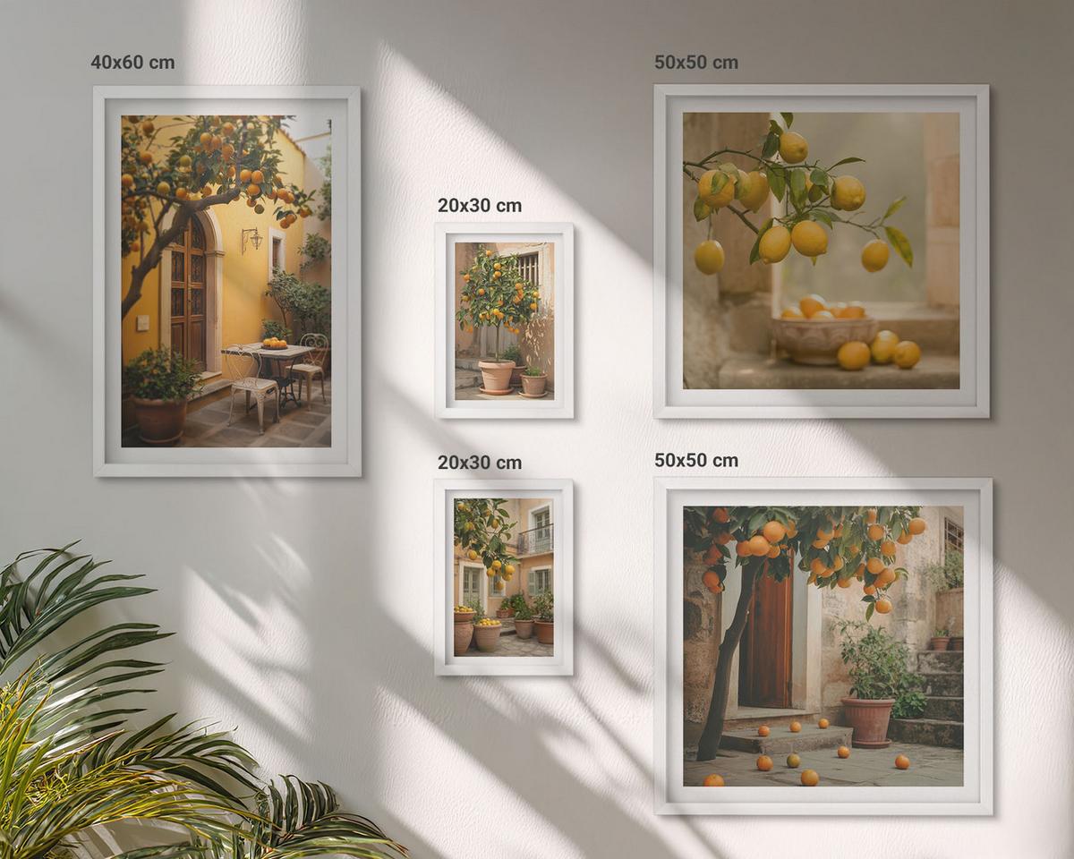 BILDER SET 5er Set - 50x50 cm & 20x30 cm & 40x60 cm Weißer Rahmen - Terrasse mit Zitrusbäumen - Weiß, Kunststoff (40/60cm) - TULUP