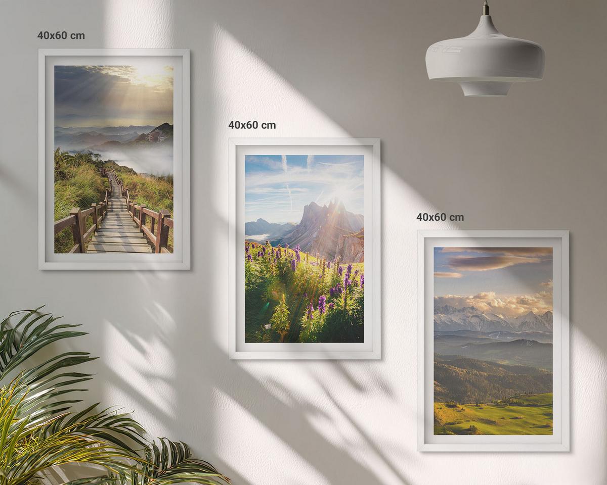 BILDER SET 3er Set - 40x60 cm Weißer Rahmen - Berglandschaft mit Blumen - Weiß, Kunststoff (40/60cm) - TULUP