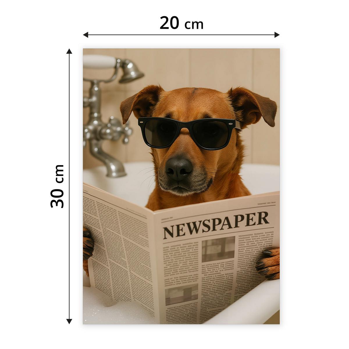 POSTER für WC Badezimmer HUND in Badewanne Retro Zeitung Abstraktion 20x30cm - Beige/Schwarz, Papier (20/30/30cm) - Muralo
