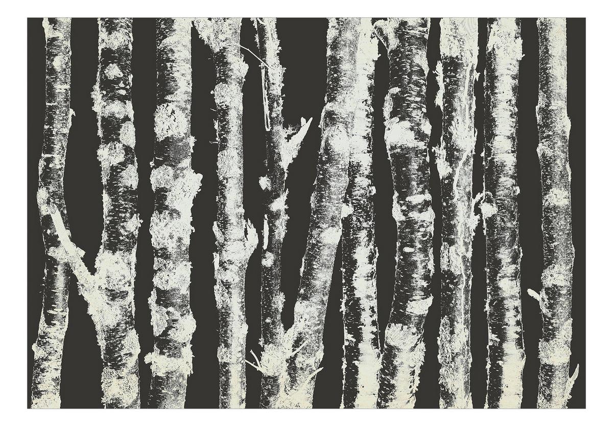 SELBSTKLEBENDE FOTOTAPETE 147/105 cm - Schwarz, Kunststoff/Textil (147/1cm) - KUNSTLOFT