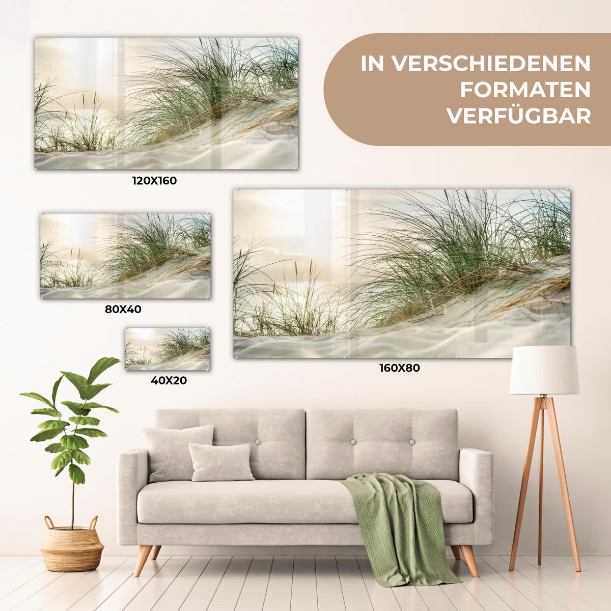 ACRYLGLASBILD Dünen mit Strandhafer in der Sonne des Nationalparks Schleswig-Holsteinisches Wattenmeer 120x60 cm - Creme, Glas (120/60cm) - MuchoWow
