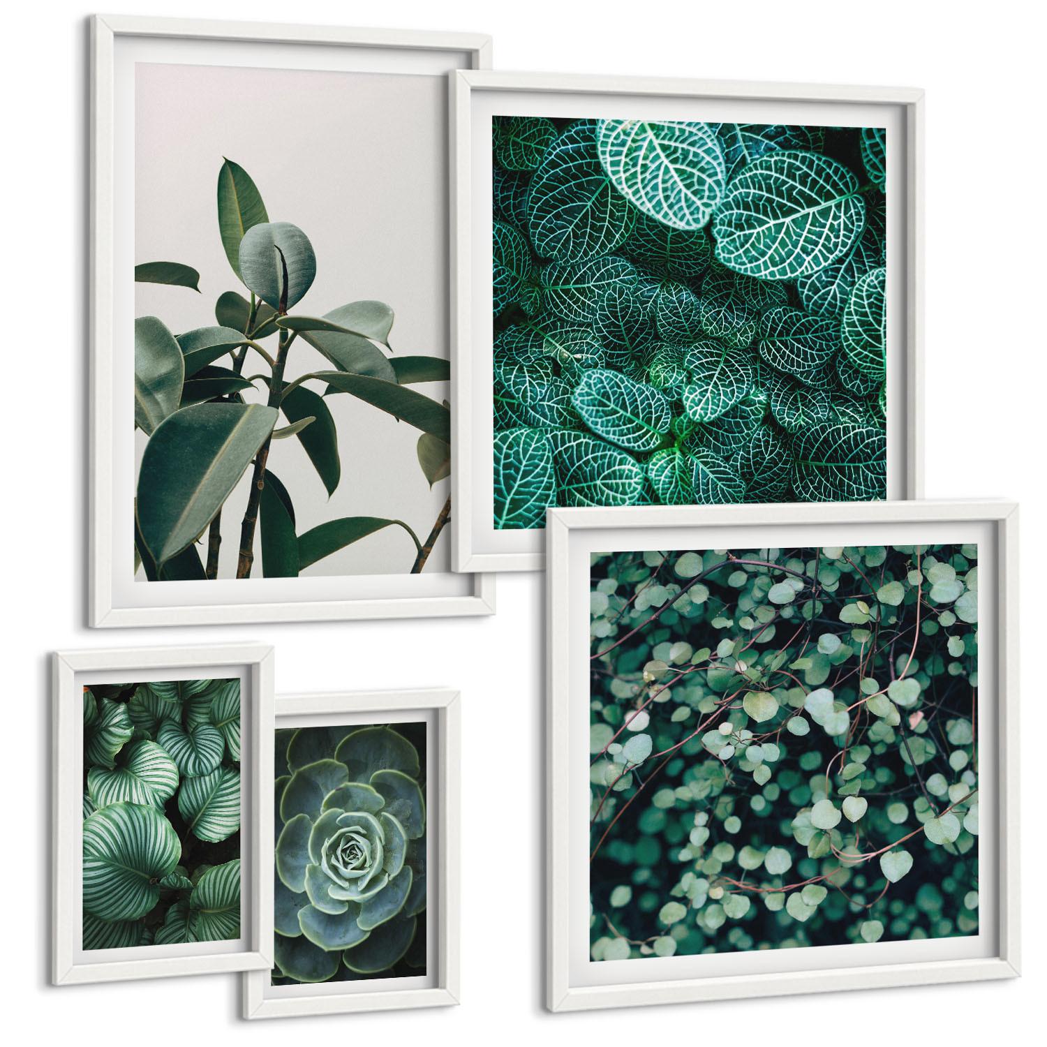 BILDER SET 5er Set - 50x50 cm & 20x30 cm & 40x60 cm Weißer Rahmen - Grüne Wälder, kristallklares Wasser - Weiß, Kunststoff (40/60cm) - TULUP