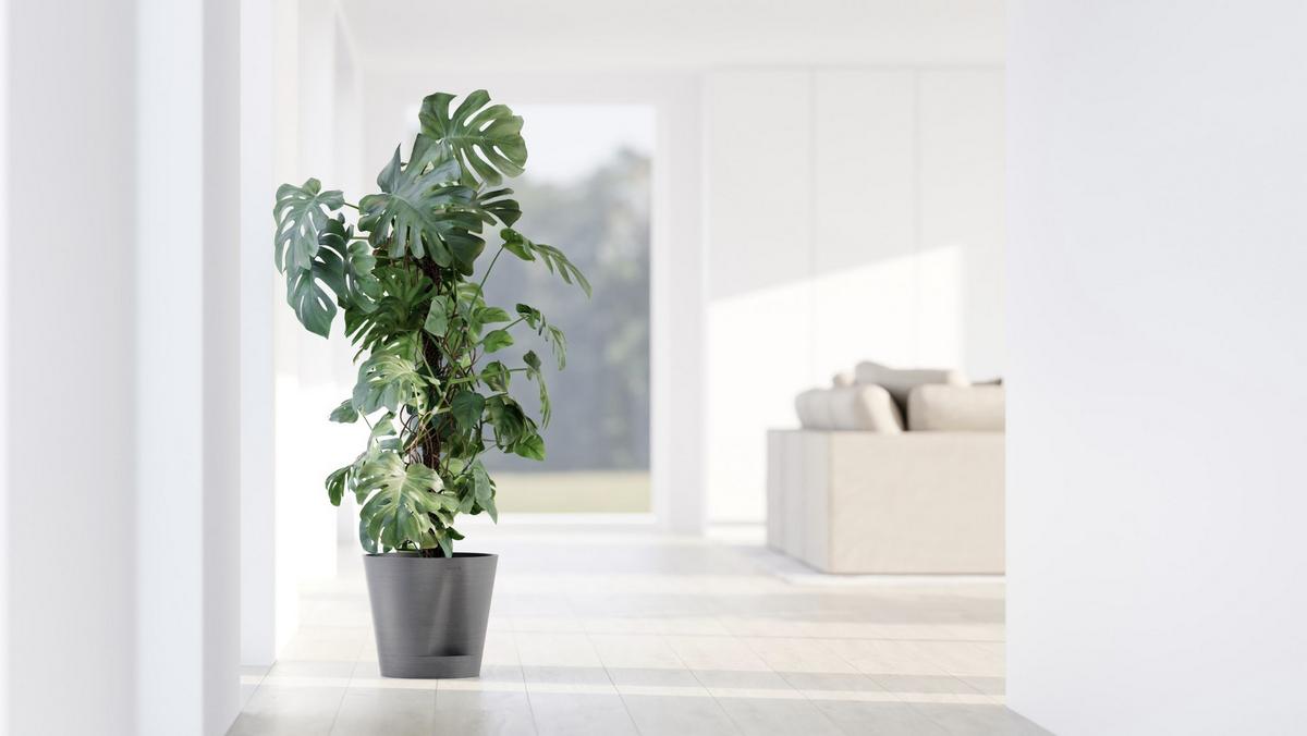 BLUMENTOPF Venice 30/27,5 cm Grau - Grau, Kunststoff (30/27.5cm) - Ecopots