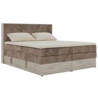 BOXSPRINGBETT NORDIC KING 160/200 - Braun Cord - Topper Visco - H3 - Schwarz/Braun, Kunststoff/Textil (160/200cm) - MKS