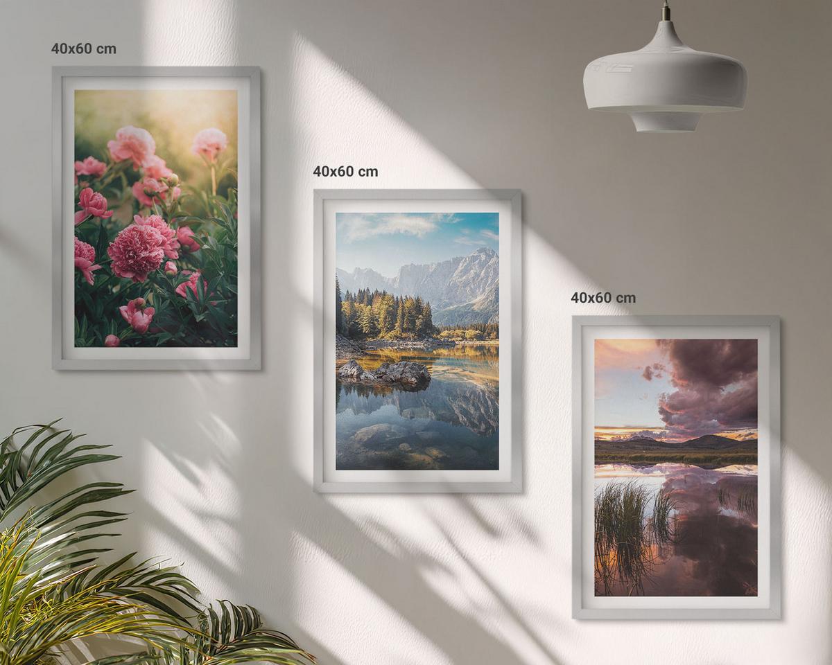 BILDER SET 3er Set - 40x60 cm Silberner Rahmen - Blumengarten Berge Wasser - Silberfarben, Kunststoff (40/60cm) - TULUP