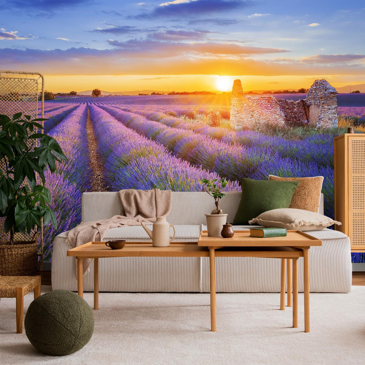 FOTOTAPETE für Wohnzimmer Lavendelfeld Sonnenuntergang Lila 150x105 - Violett/Rosa, Papier (150/105cm) - Muralo