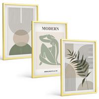 BILDER SET 3er Set - 40x60 cm Goldrahmen - Stilvolle Pflanzengrafiken - Goldfarben, Kunststoff (40/60cm) - TULUP