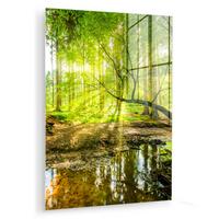 ACRYLGLASBILD Wald - Landschaft - Wasser - Bäume - Sonne - Grün - Natur 60x80 cm - Grün, Glas (60/80cm) - MuchoWow