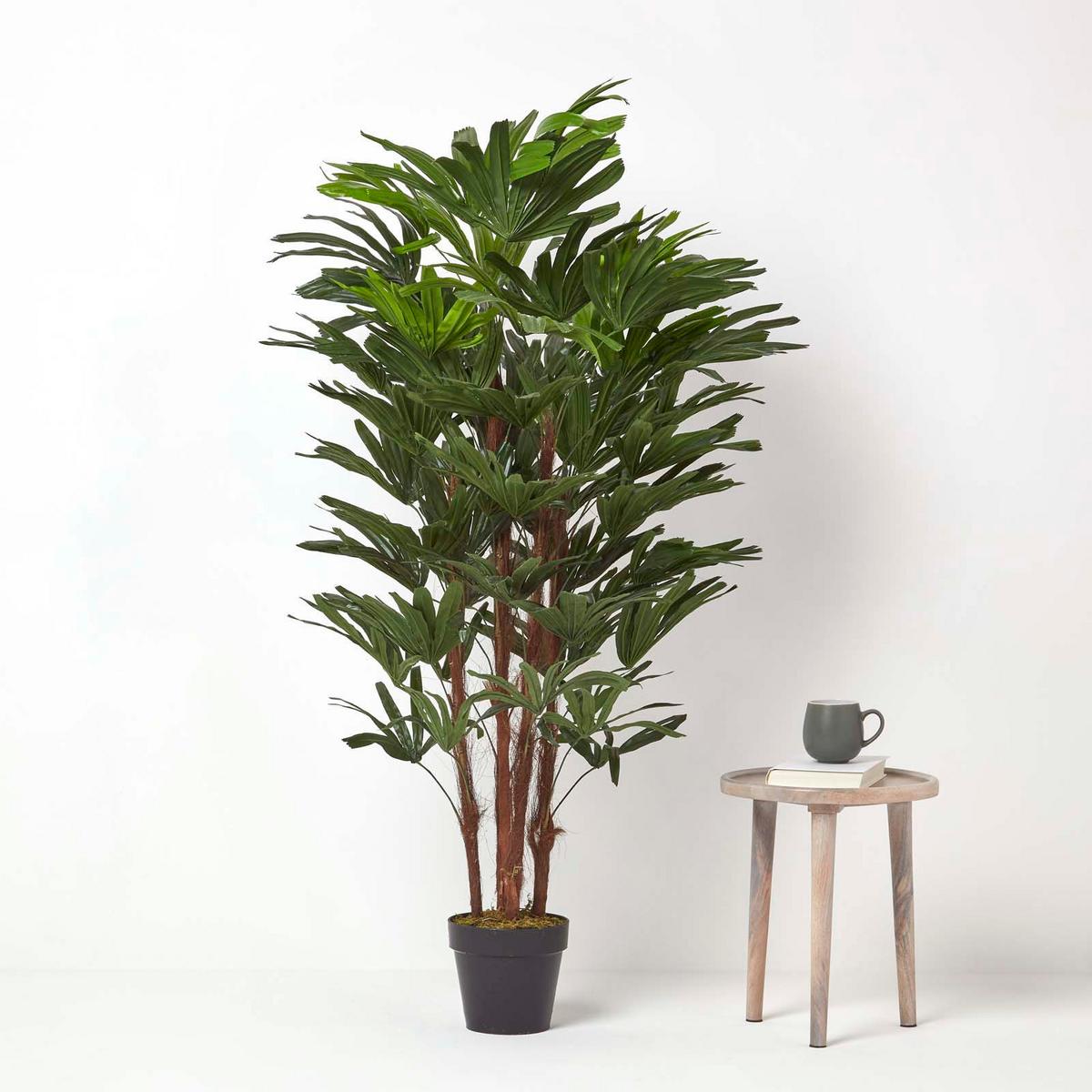 KUNSTPALME Rhapis, 150 cm - Grün, Kunststoff (150cm) - Homescapes