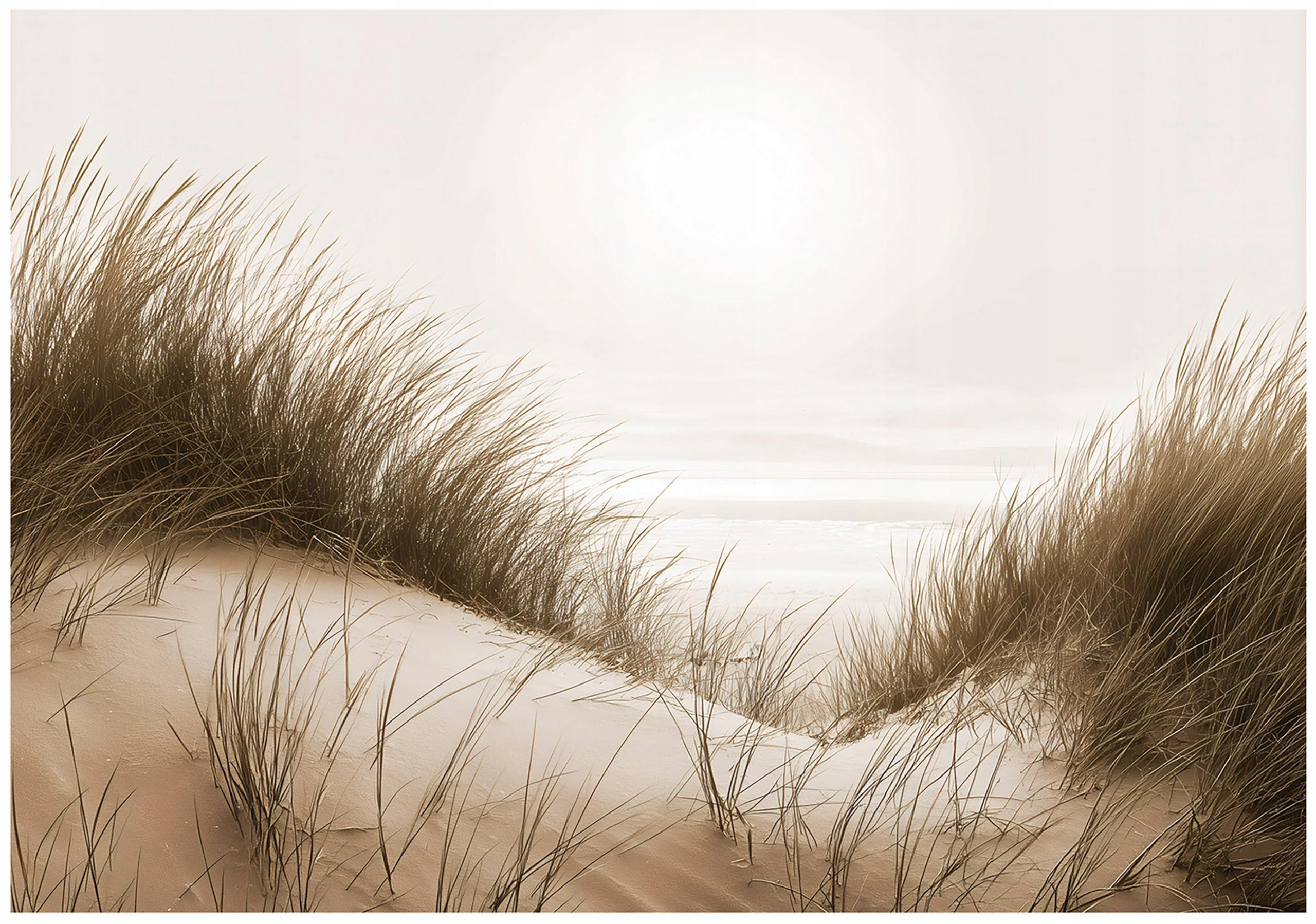 FOTOTAPETE Strand Meer Beige 300x210 cm - Multicolor, Papier (300/210cm) - Wallarena