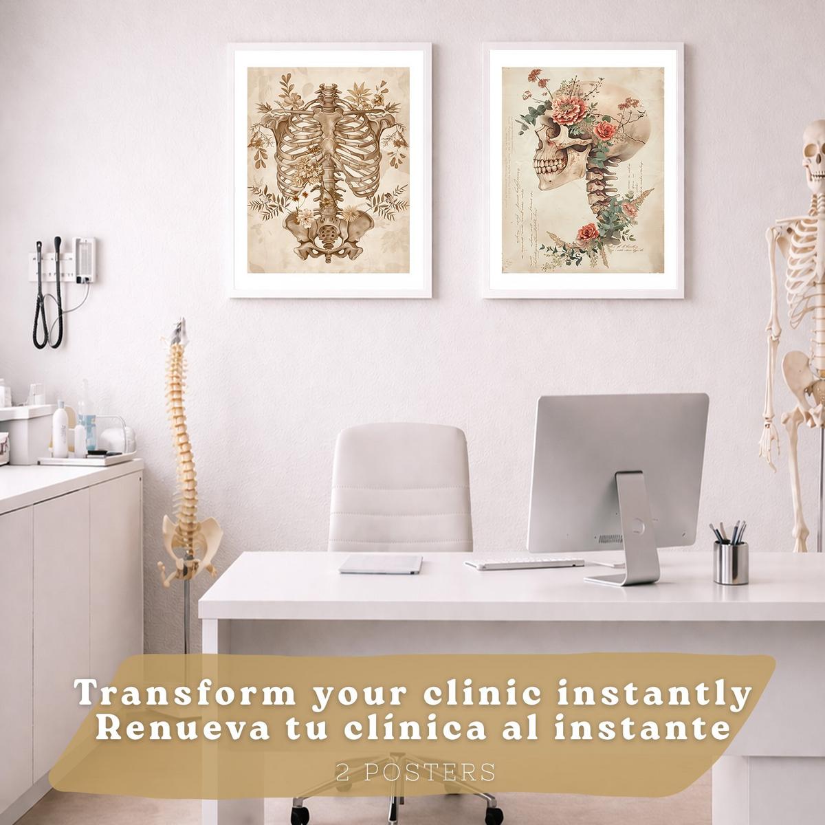 POSTER Set aus 2 Anatomie Mensch Drucke und Wandbilder mit Skelett Schädel Wirbelsäule Rippen Becken Klassischer Stil Größe Weißer Rahmen A3 - Weiß, Papier (29.7/42/3cm) - Nacnic