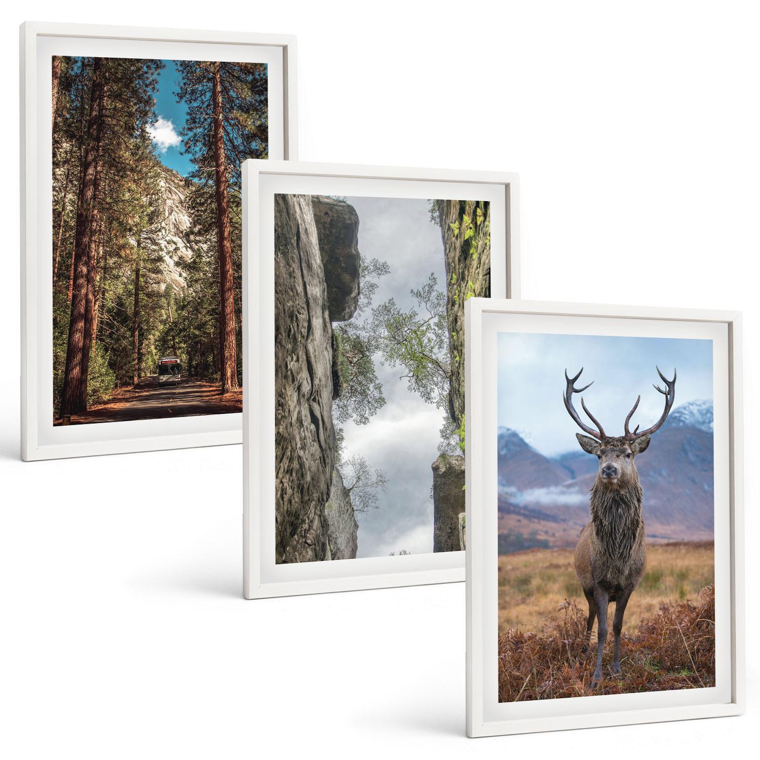 BILDER SET 3er Set - 40x60 cm Weißer Rahmen - Straße Wald Berge Hirsch Natur - Weiß, Kunststoff (40/60cm) - TULUP
