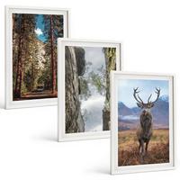 BILDER SET 3er Set - 40x60 cm Weißer Rahmen - Straße Wald Berge Hirsch Natur - Weiß, Kunststoff (40/60cm) - TULUP