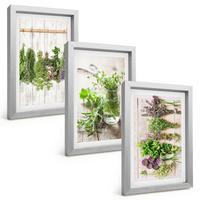 BILDER SET 3er Set - 20x30 cm Silberner Rahmen - Kräuterpflanzen für die Küche - Silberfarben, Kunststoff (20/30cm) - TULUP