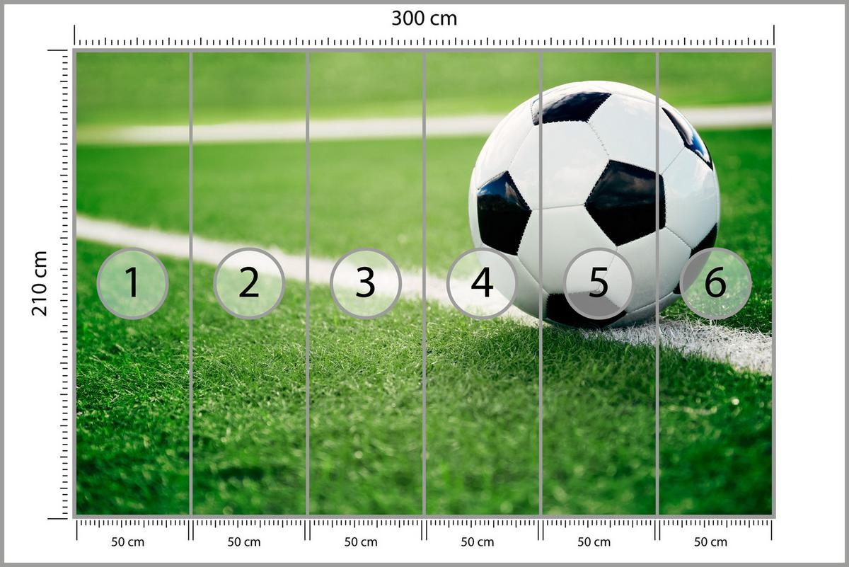 FOTOTAPETE für Jugendzimmer Fußball Grüne Rasen Stadion Sport 300x210 - Schwarz/Weiß, Papier (300/210cm) - Muralo