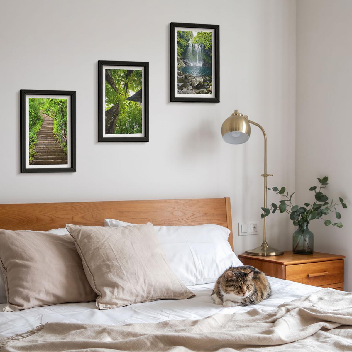 BILDER SET 3er Set - 20x30 cm Schwarzer Rahmen - Pfad Wald Wasserfall Vegetation - Schwarz, Kunststoff (20/30cm) - TULUP