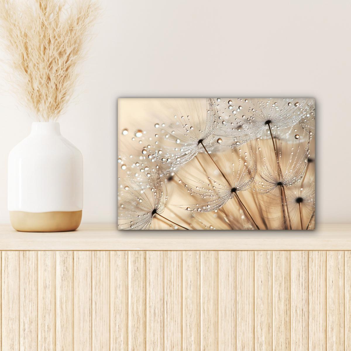 LEINWANDBILD Löwenzahn - Abstrakt - Natur - Beige Deko Schlafzimmer 30x20 cm - Braun, Textil (30/20cm) - MuchoWow