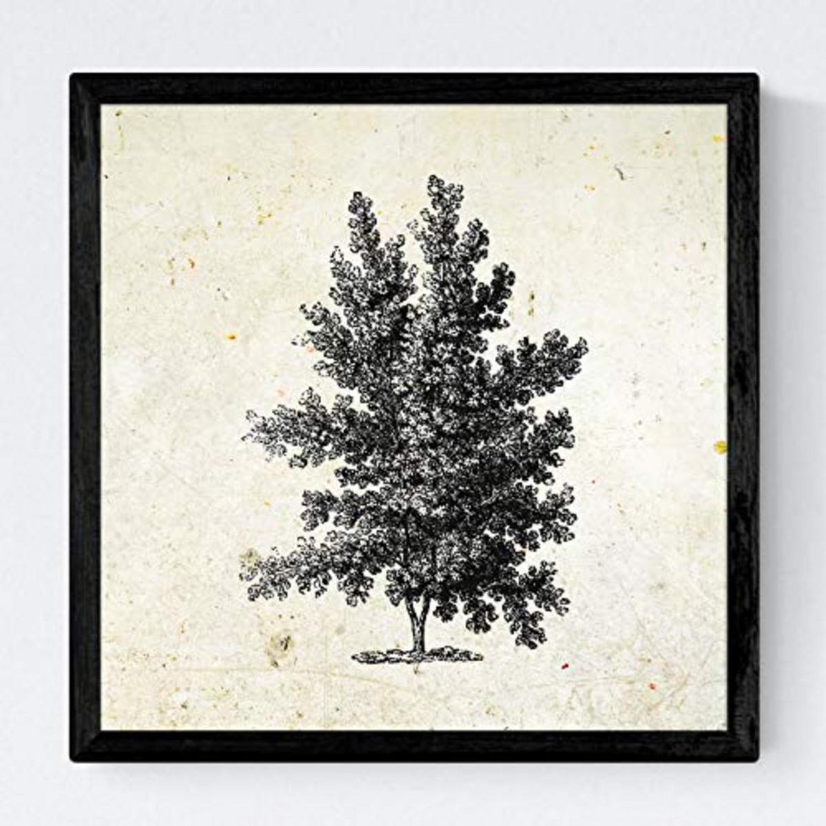 POSTER Set mit 4 Blättern der Hohe Bäume in der 20x20cm Schwarzer Rahmen - Schwarz, Papier (20/3cm) - Nacnic