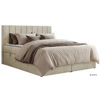 BOXBETT ALVER 200/200 - Beige Velvet - Topper T25 - H3 - Beige/Schwarz, Kunststoff/Textil (200/200cm) - MKS