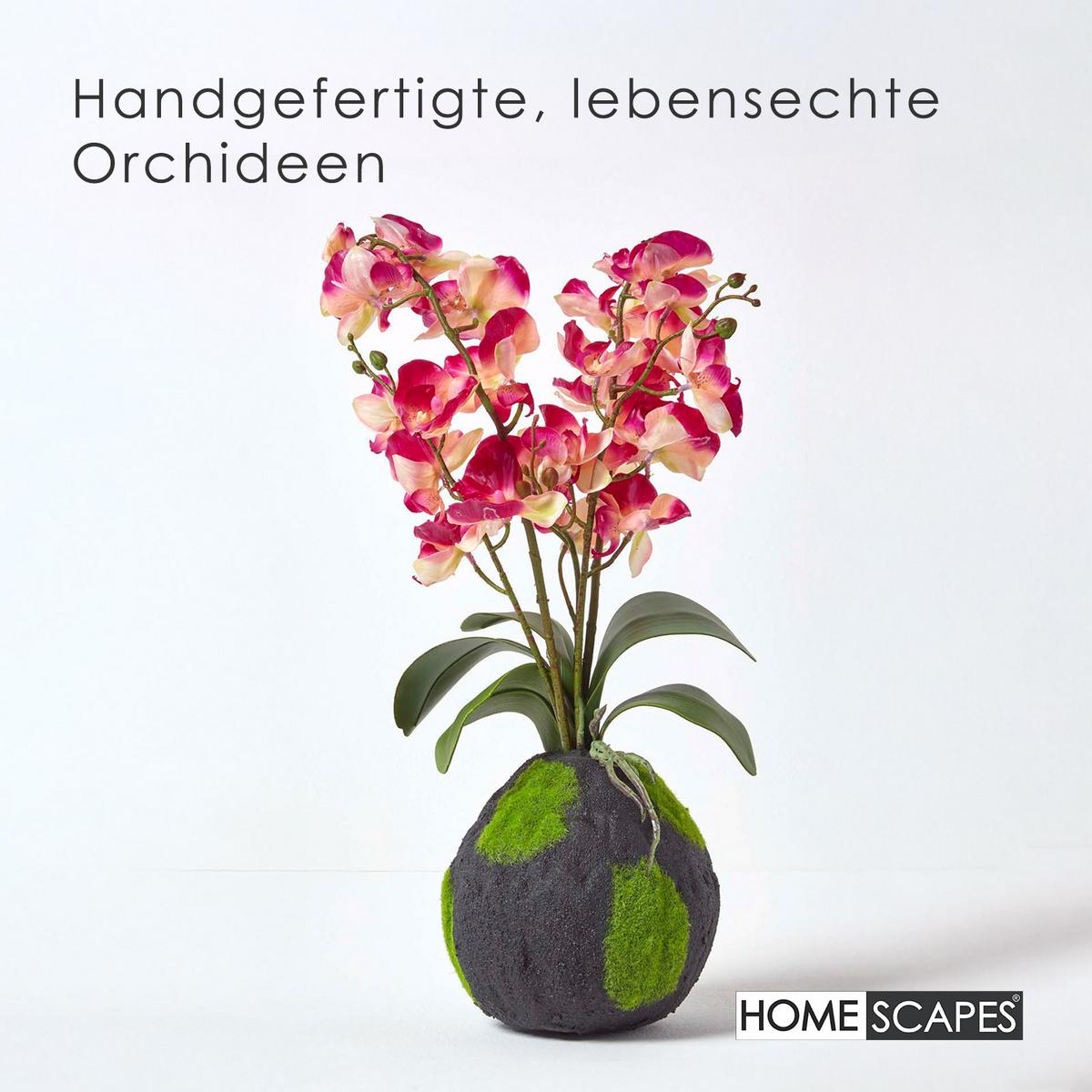 KUNSTBLUME Orchidee pink-apricot mit Moos-Sockel, 60 cm - Pink, Kunststoff (60cm) - Homescapes