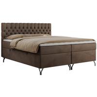 BOXBETT GRIMALDI 140/200 Braun Velvet - H4 - Braun, Holz/Textil (140/200cm) - MKS