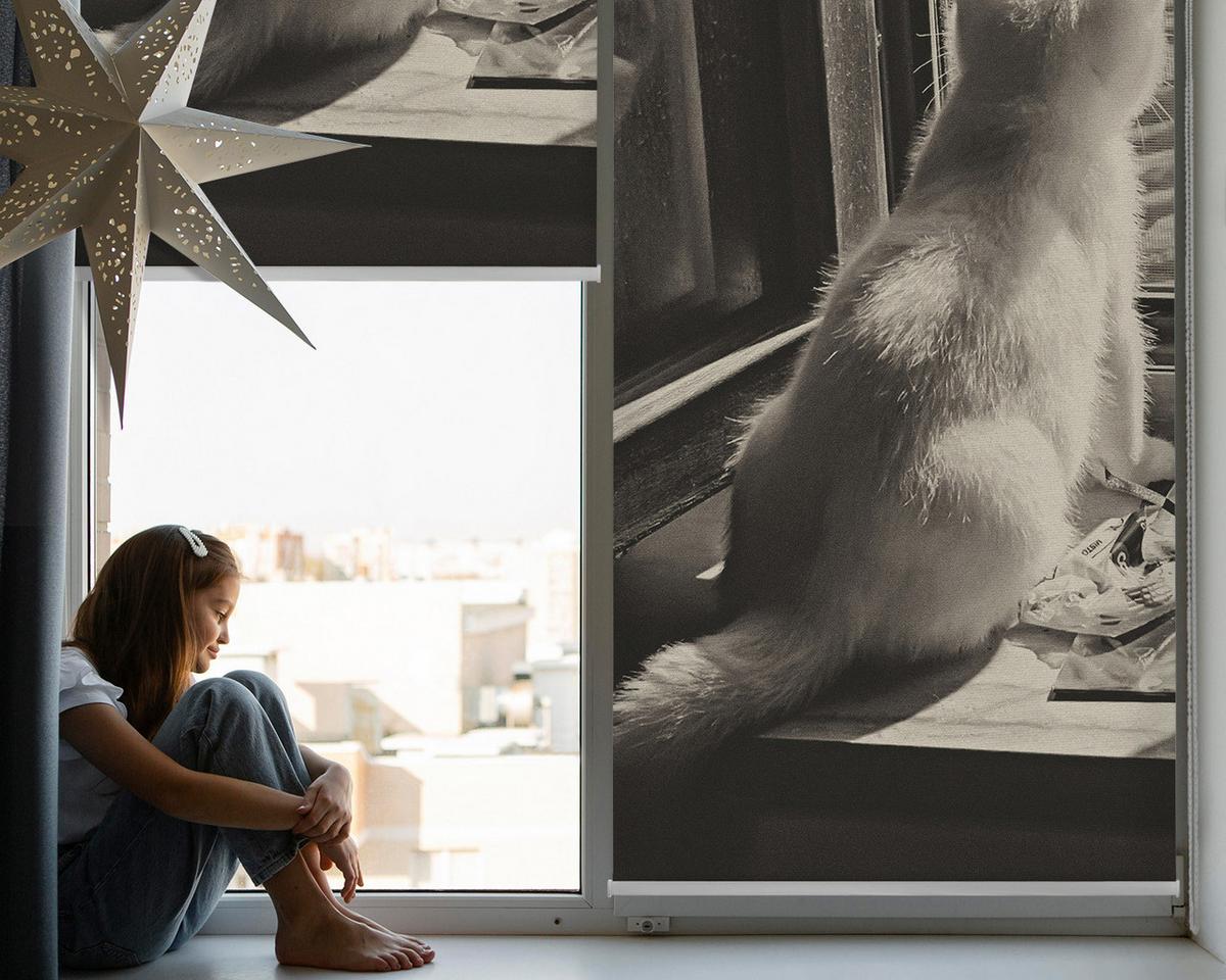 INNENROLLO - Fensterrollo - Rollo - 120x140 cm - Katzen im Fenster - Grau, Kunststoff (120/140/0.5cm) - TULUP