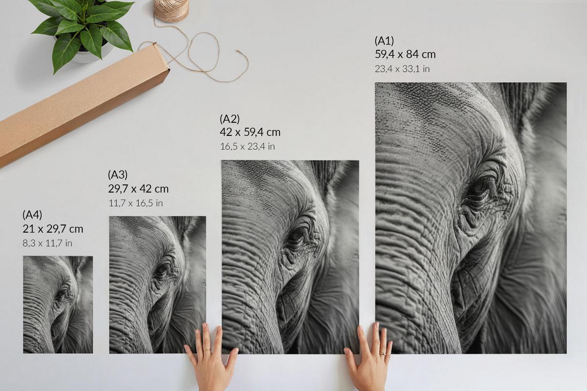 POSTER - 21x29 cm - Visual Echo - Elefantenblick - Schwarz, Textil (21/29.7/0.1cm) - TULUP