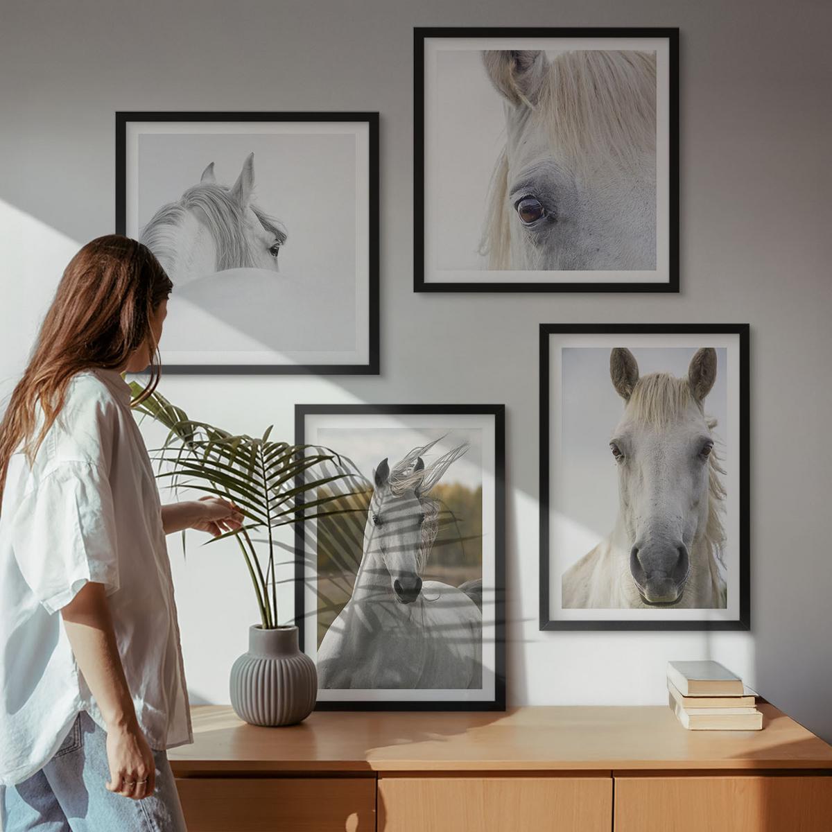 BILDER SET 4er Set - 50x50 cm & 40x60 cm Schwarzer Rahmen - Weiße Pferde - Schwarz, Kunststoff (50/50cm) - TULUP