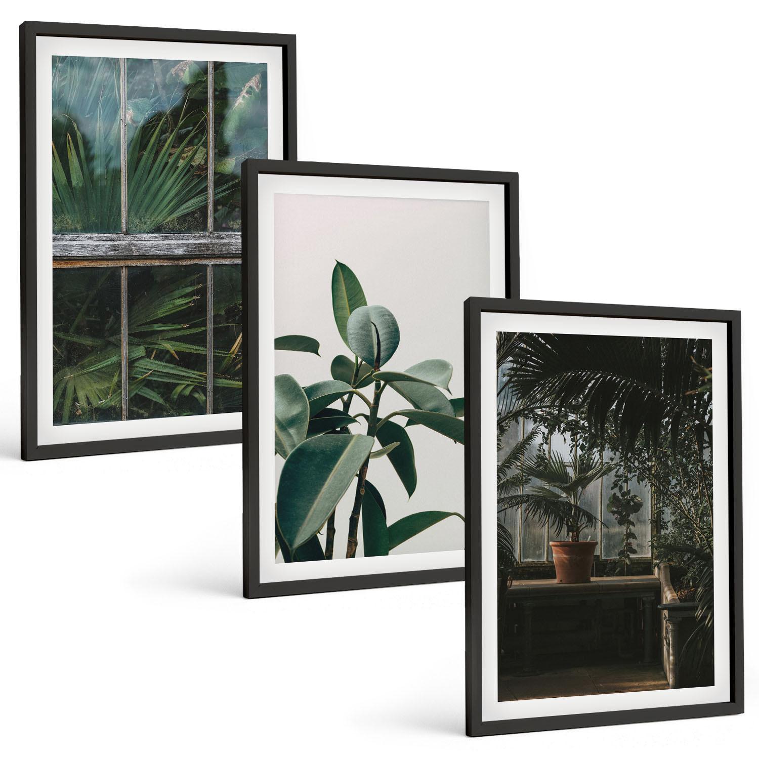 BILDER SET 3er Set - 40x60 cm Schwarzer Rahmen - Grüne Blätter an der Fensterpflanze - Schwarz, Kunststoff (40/60cm) - TULUP