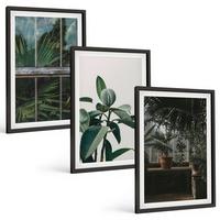 BILDER SET 3er Set - 40x60 cm Schwarzer Rahmen - Grüne Blätter an der Fensterpflanze - Schwarz, Kunststoff (40/60cm) - TULUP