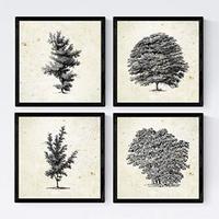 POSTER Set mit 4 Bädern Bäume variierten Jahrgang Hintergrund 30x30 cm Rahmenlos - Klar, Papier (30/3cm) - Nacnic