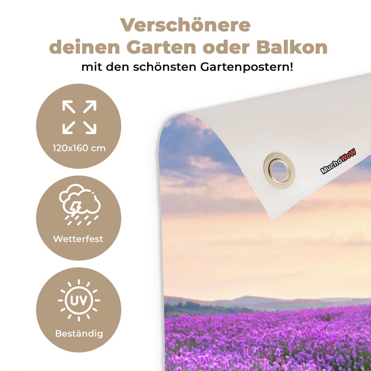 GARTENPOSTER Blumen - Lavendel - Lila - Himmel - Sonnenuntergang - Wiese - Natur Gartendekoration 120x160 cm - Flieder, Kunststoff (120/160/0.2cm) - OnlyWow