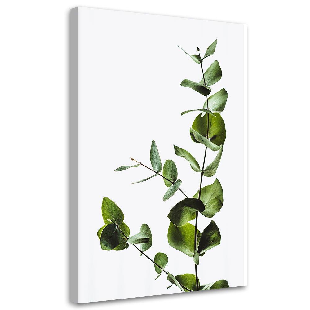 KUNSTDRUCK Grün 40/60 cm - Grün, Textil (40/60cm) - KUNSTLOFT