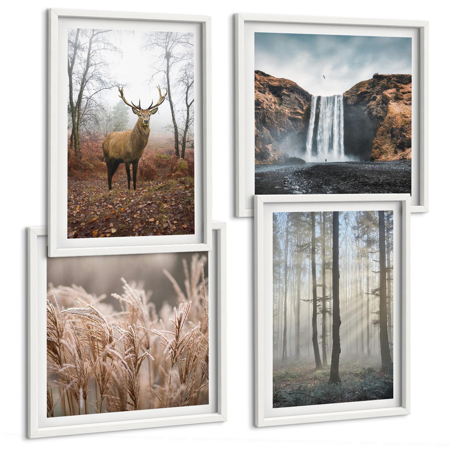 BILDER SET 4er Set - 50x50 cm & 40x60 cm Weißer Rahmen - Waldlandschaften der Wildnis - Weiß, Kunststoff (50/50cm) - TULUP