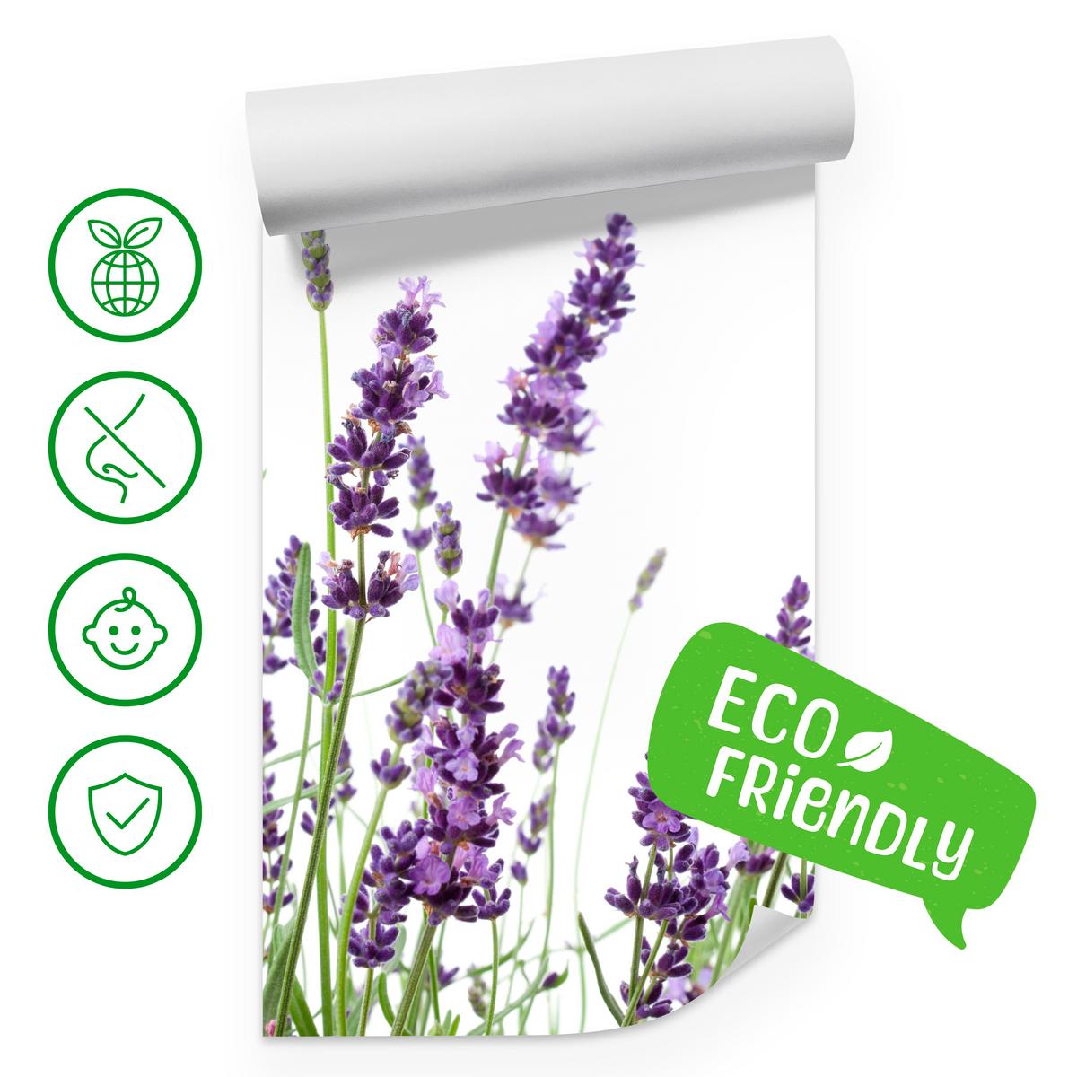 FOTOTAPETE für Küche Lavendelblüten Weißer Hintergrund 100x70 - Violett/Lila, Papier (100/70cm) - Muralo