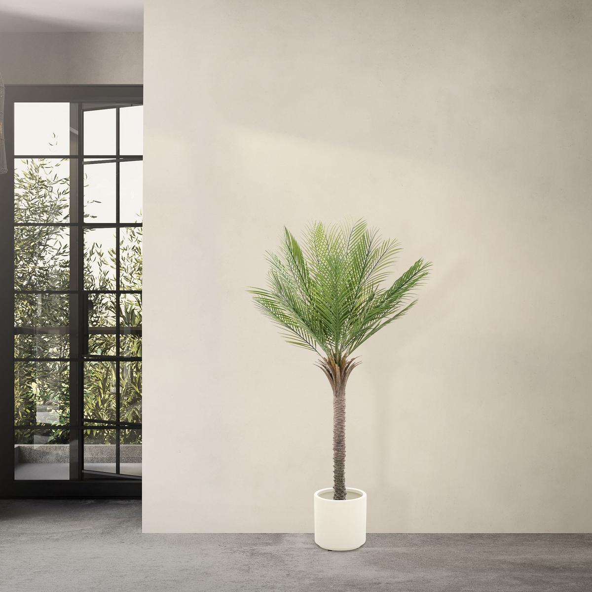 KUNSTPFLANZE Palme - Anthrazit/Grün, Holz/Kunststoff (150cm) - ML-DESIGN