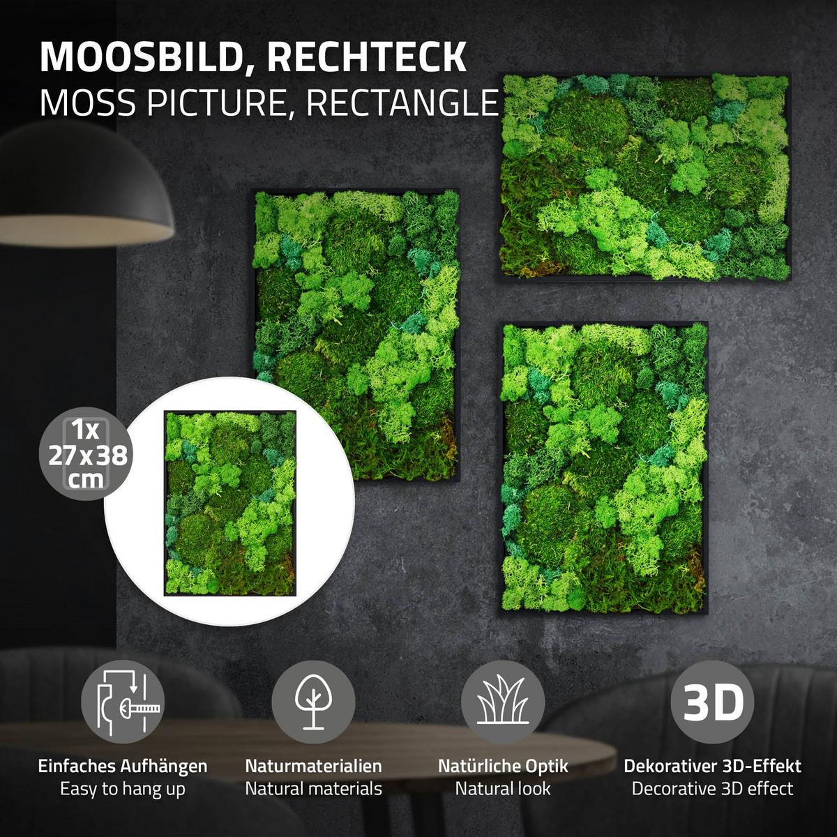 MOOSBILD Rechteck 38 x 27 cm Mooswand Indoor mit echtem echtem Kugelmoos-Islandmoos-Flachmoos-Mix und Holzrahmen Grün - Waldgrün, Naturmaterialien (27/38/3.5cm) - ECD-Germany