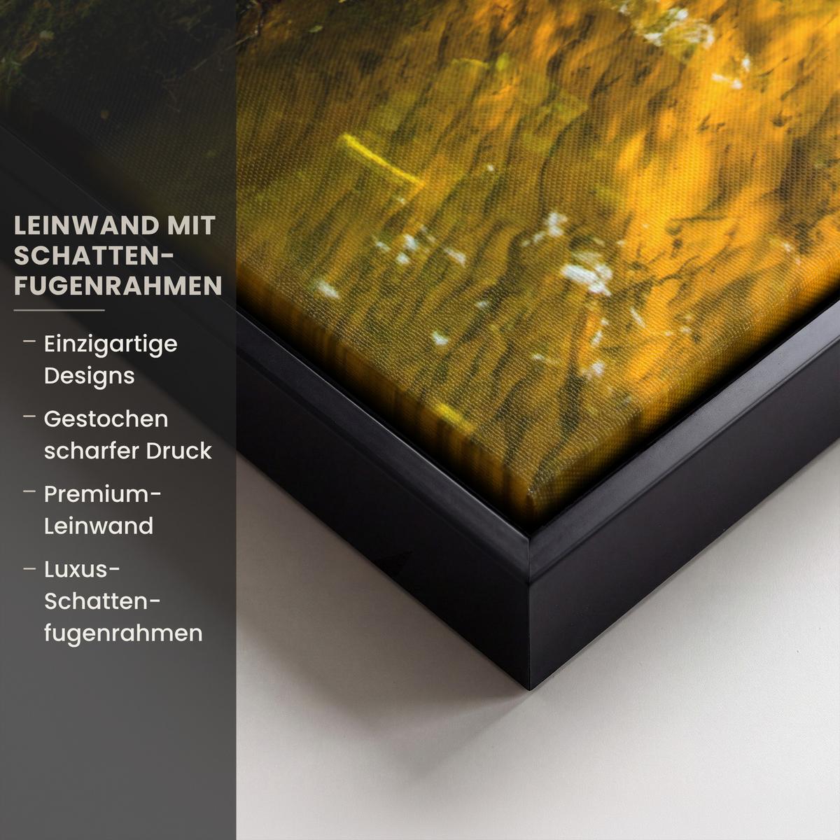 LEINWAND Bilder mit Rahmen - Wald - Landschaft - Wasser - Bäume - Sonne - Grün - Natur - 50x50 - Grün, Textil (50/50cm) - MuchoWow