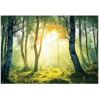 FOTOTAPETE 3D Effekt Wald Natur Wohnzimmer 400x280 - Multicolor, Papier (400/280cm) - Wallarena