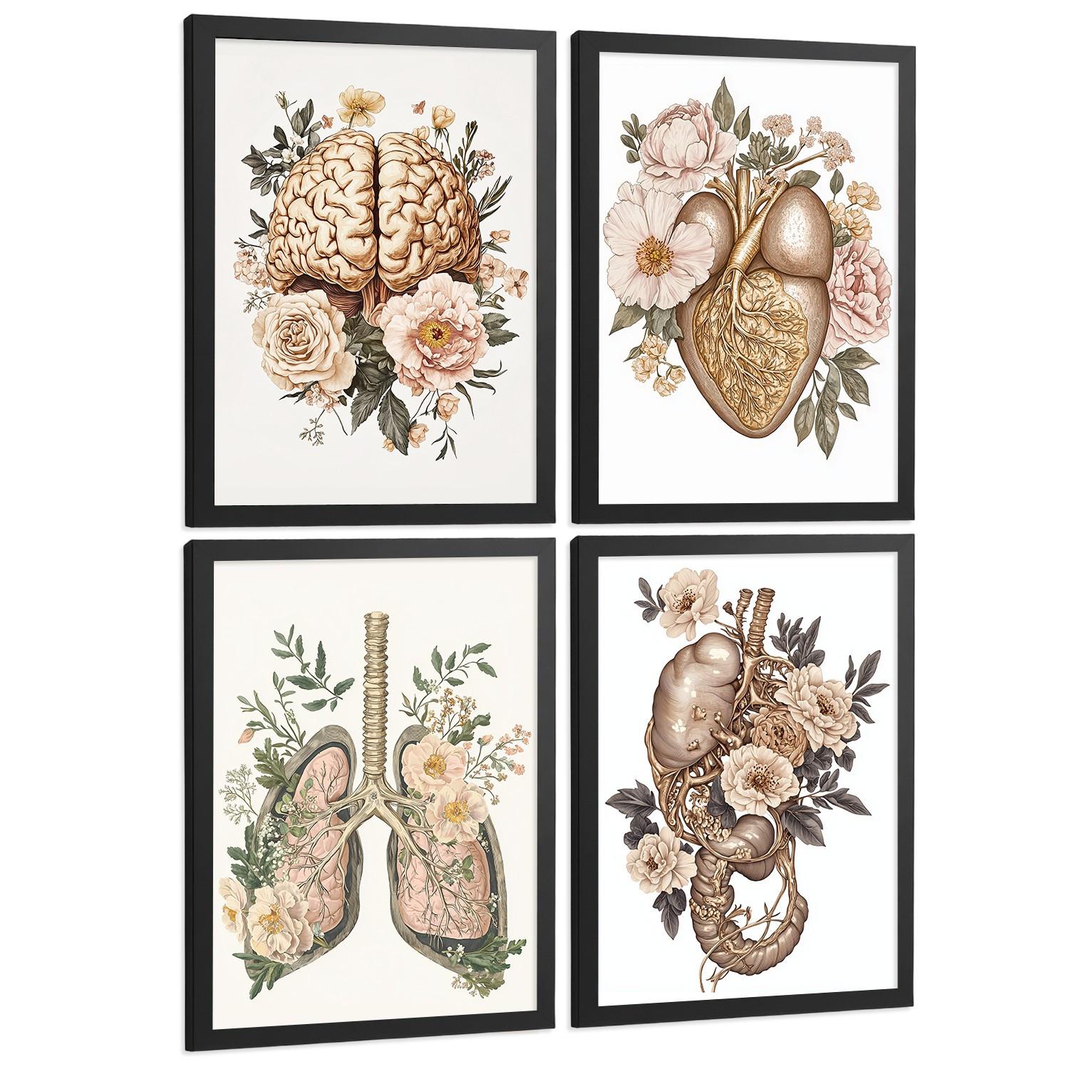POSTER Set aus 4 Körper Anatomie Drucke mit Gehirn Herz Lungen Luftröhre Bronchien Nieren Verdauungssystem Magen Darm Größe Schwarzer Rahmen A4 - Schwarz, Papier (21/29.7/3cm) - Nacnic