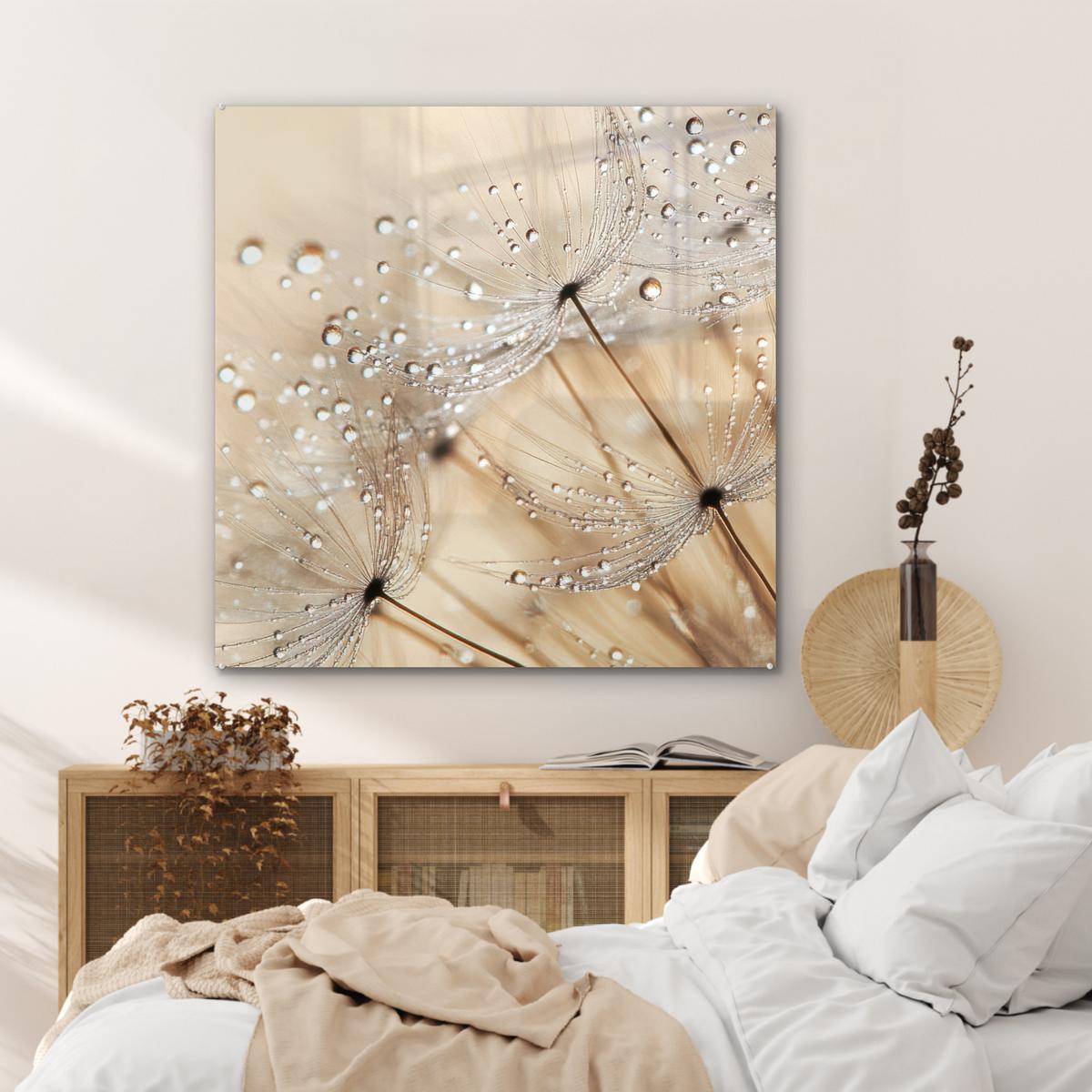 ACRYLGLASBILD Löwenzahn - Abstrakt - Natur - Beige 90x90 cm - Braun, Glas (90/90cm) - MuchoWow