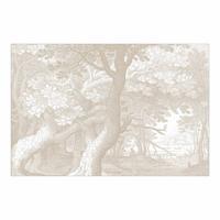 FOTOTAPETE Im Wald Kupferstich in Beige 384/255 cm - Eichefarben, Papier (384/255cm) - Bilderwelten