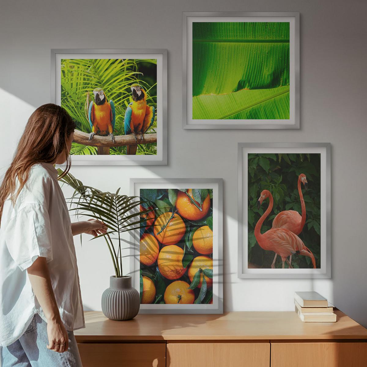 BILDER SET 4er Set - 50x50 cm & 40x60 cm Silberner Rahmen - Fruchtige Akzente der Tropen - Silberfarben, Kunststoff (50/50cm) - TULUP