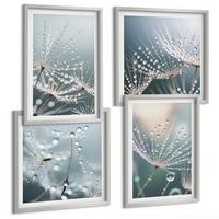 BILDER SET 4er Set - 50x50 cm & 40x60 cm Silberner Rahmen - Wassertropfen auf Löwenzahnsprossen - Silberfarben, Kunststoff (50/50cm) - TULUP