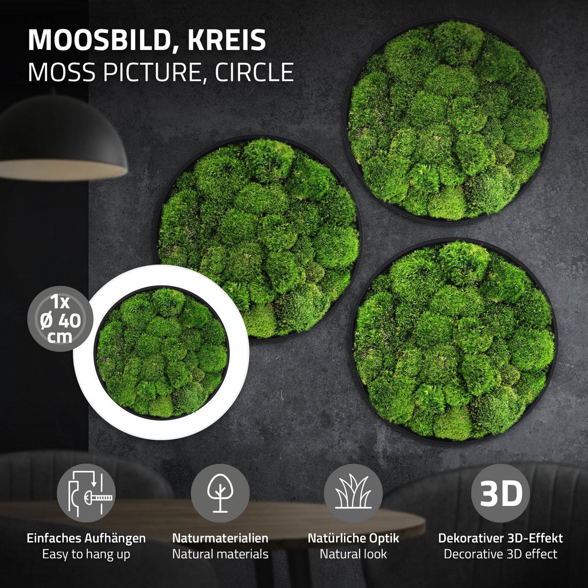 MOOSBILD Rund Ø 40 cm Mooswand Indoor mit Echtem Kugelmoos und Holzrahmen Grün Pflegefrei - Grün, Naturmaterialien (40/40/3cm) - ECD-Germany