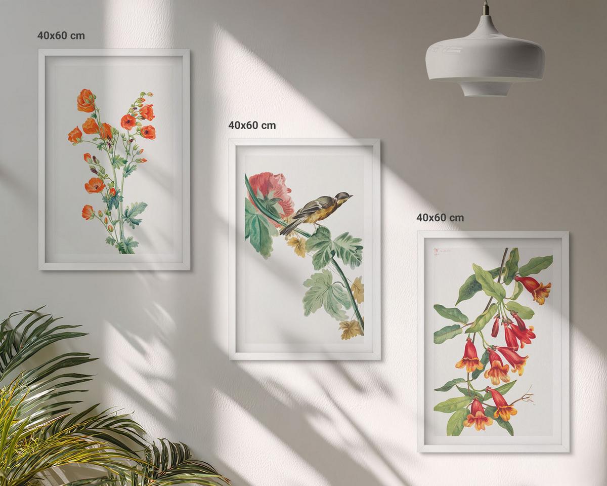 BILDER SET 3er Set - 40x60 cm Weißer Rahmen - Gemalte Blumen und ein Vogel - Weiß, Kunststoff (40/60cm) - TULUP