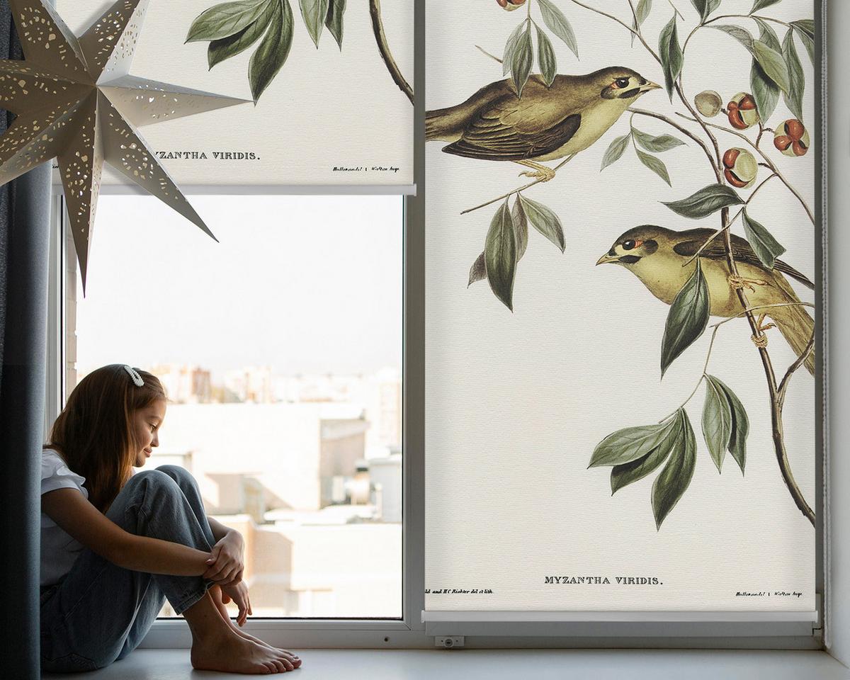 INNENROLLO - Fensterrollo - Rollo - 80x180 cm - Vögel auf einem Baum - Weiß, Kunststoff (80/180/0.5cm) - TULUP